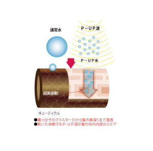 P-UP XTERA TERAHERTZ DRYER 2G - 株式会社ウルア